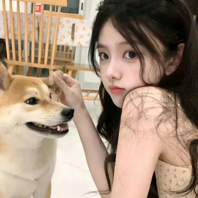 火之鸟772